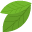 _2